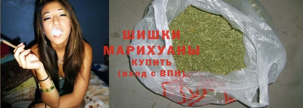 гашик Елизово