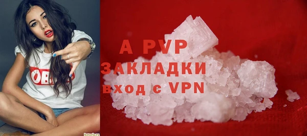 гашик Елизово