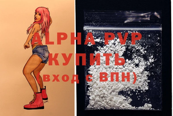 apvp Ельня