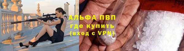 apvp Ельня