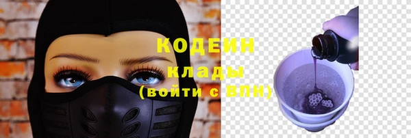 гашик Елизово