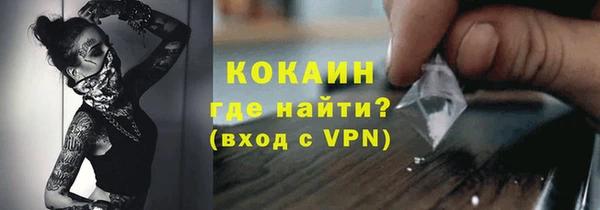 гашик Елизово