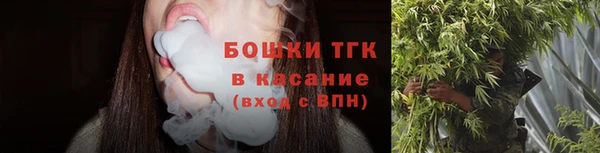 гидропоника Елабуга