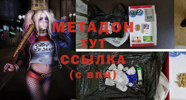 apvp Ельня