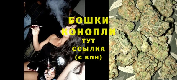 гашик Елизово