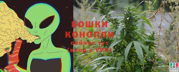 гашик Елизово