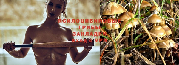 гидропоника Елабуга