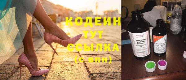 гашик Елизово