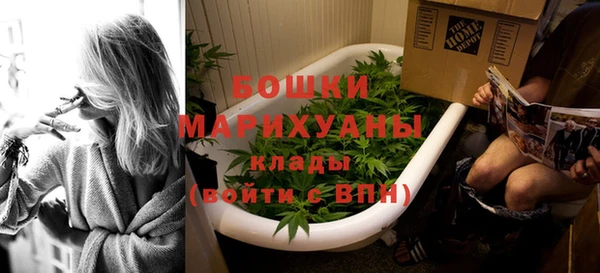 гидропоника Елабуга