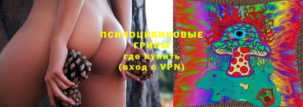 apvp Ельня