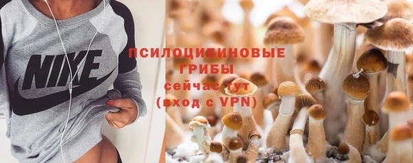 гидропоника Елабуга